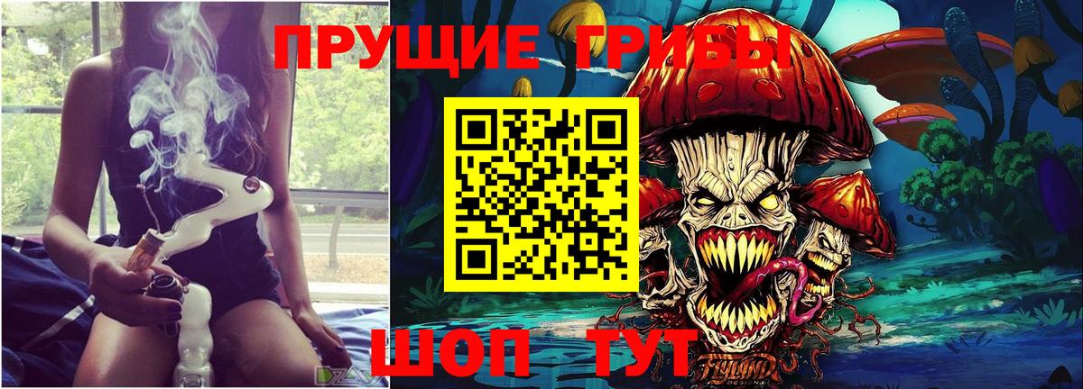 Самара  Галлюциногенные грибы GOLDEN TEACHER  Вход с VPN 
