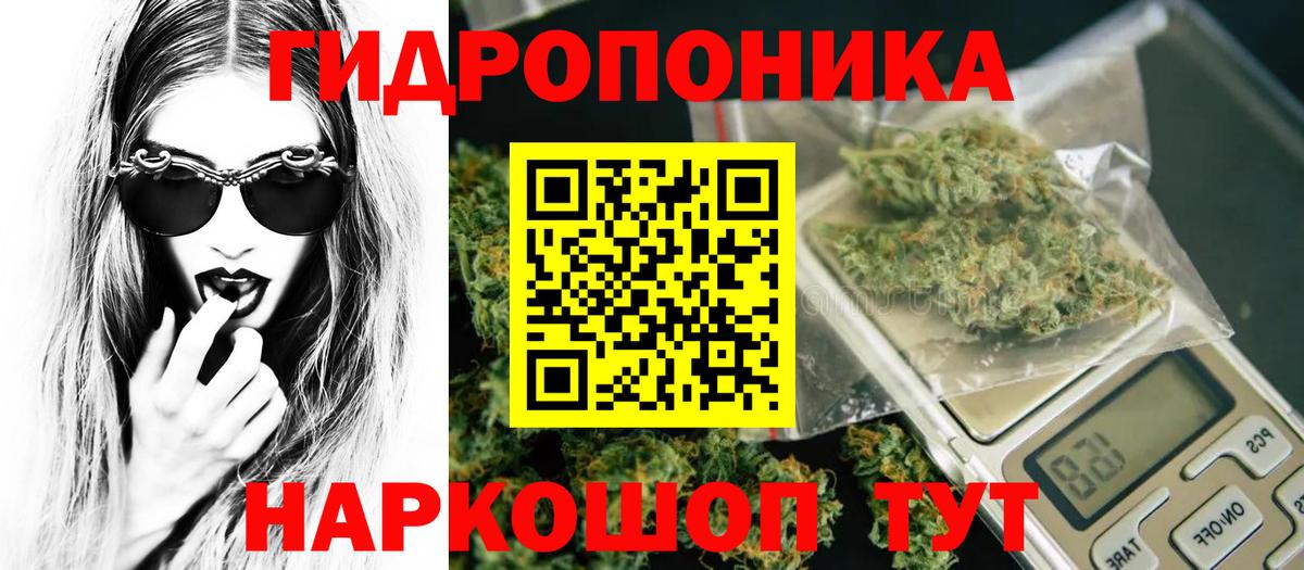 Шишки марихуана Bruce Banner  Канабис планчик  Вход с VPN  МАРИХУАНА конопля  Самара 